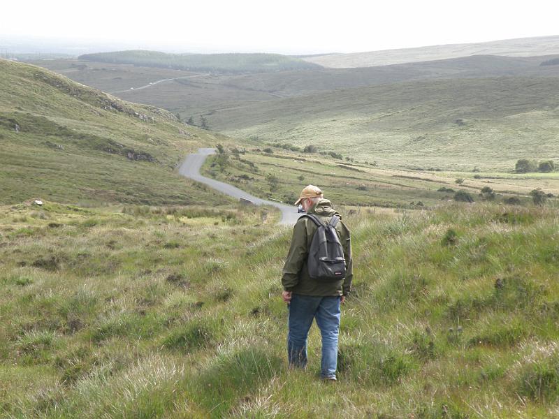 20100804n Over sompig hoogveen.JPG